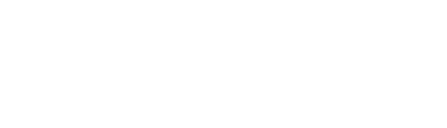 Laptop Reparatur Wien Schriftlogo